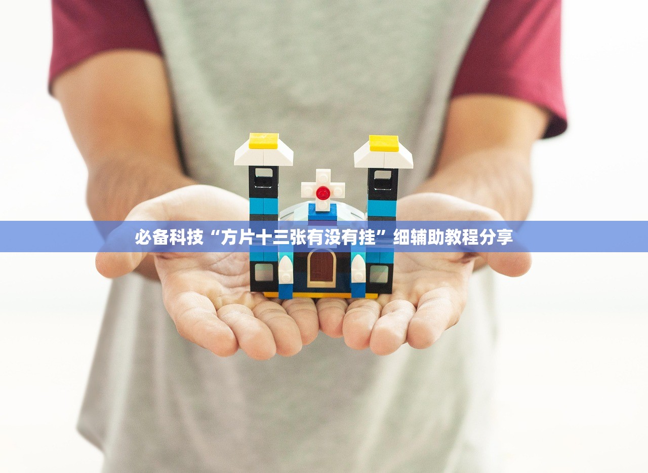 必备科技“方片十三张有没有挂”细辅助教程分享