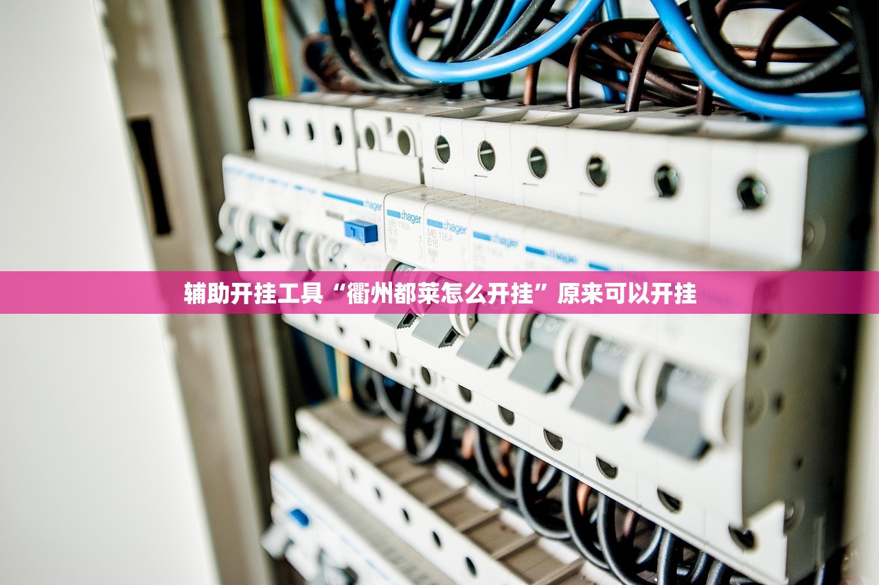 辅助神器“哈哈贵阳捉鸡麻将怎么打才能赢”详细开挂教程