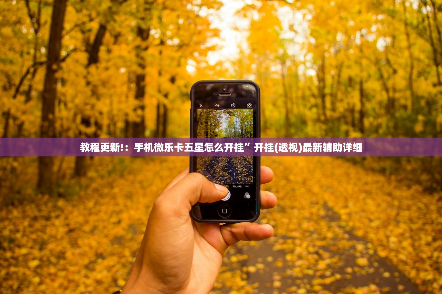 教程辅助!“微乐免费房间到底有没有挂”详细外挂透视辅助软件教程