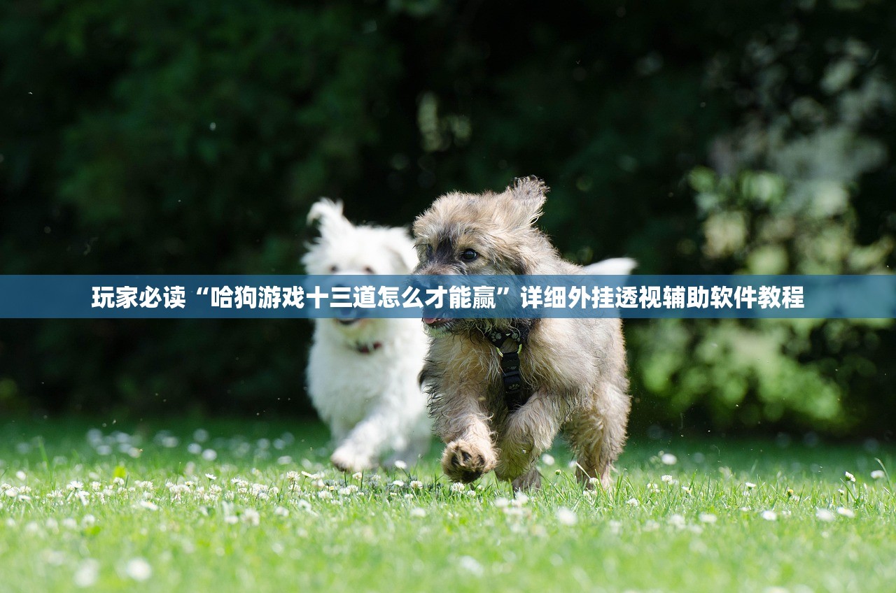 强力推荐“微乐手机麻将怎么控制输赢”详细分享装挂步骤