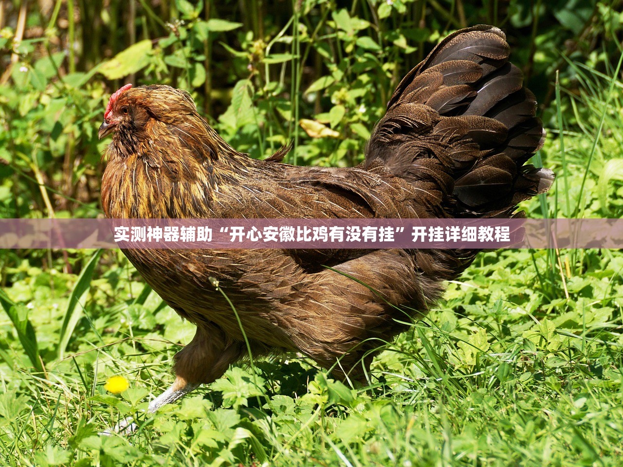 玩家辅助神器：花城牌舍到底有没有挂”2026开挂教程步骤