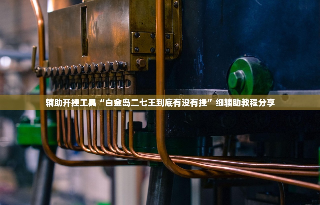 辅助开挂工具“白金岛二七王到底有没有挂”细辅助教程分享