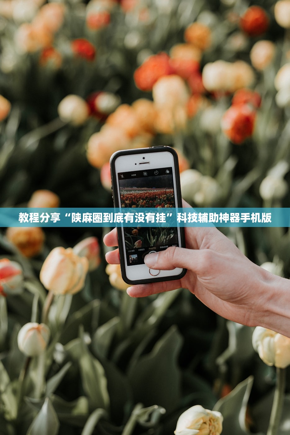 教程分享“陕麻圈到底有没有挂”科技辅助神器手机版