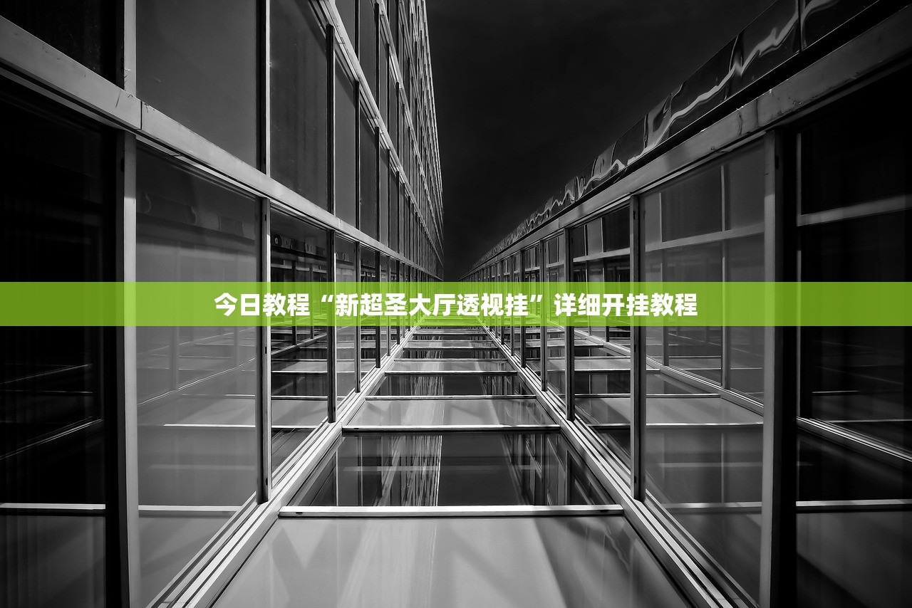 今日教程“新超圣大厅透视挂”详细开挂教程