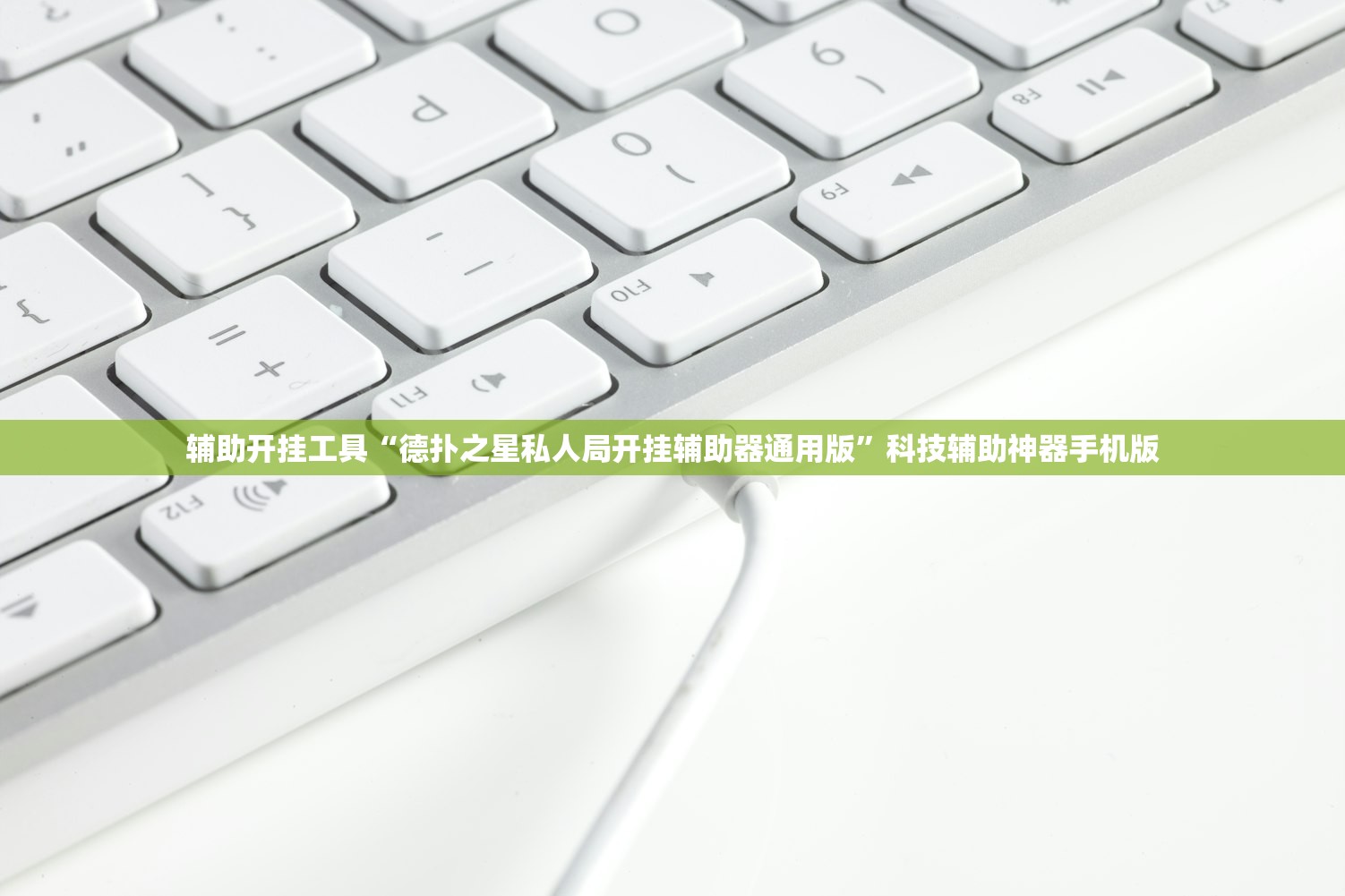 【新款自由光,2021新款自由光】