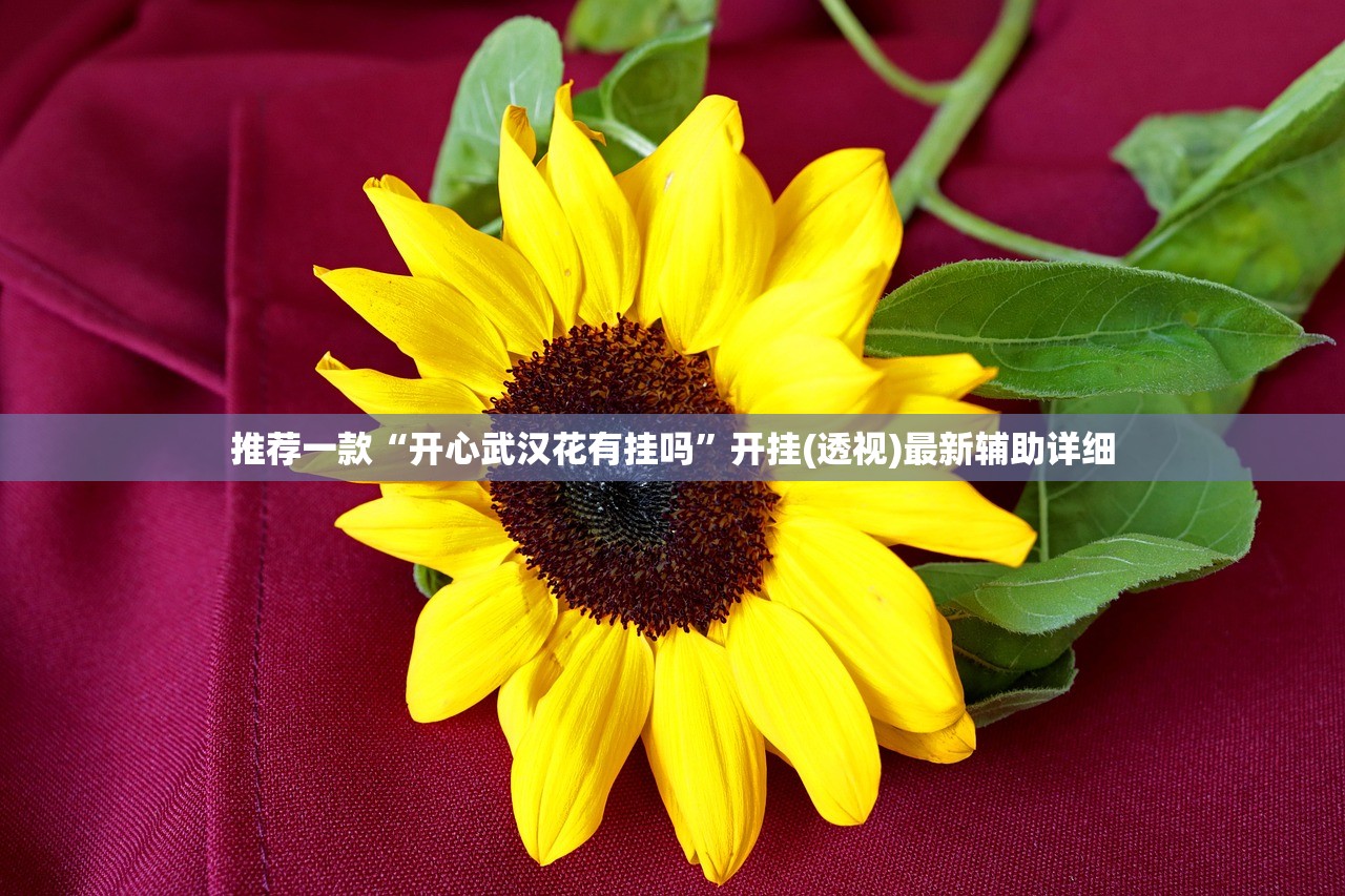 推荐一款“开心武汉花有挂吗”开挂(透视)最新辅助详细