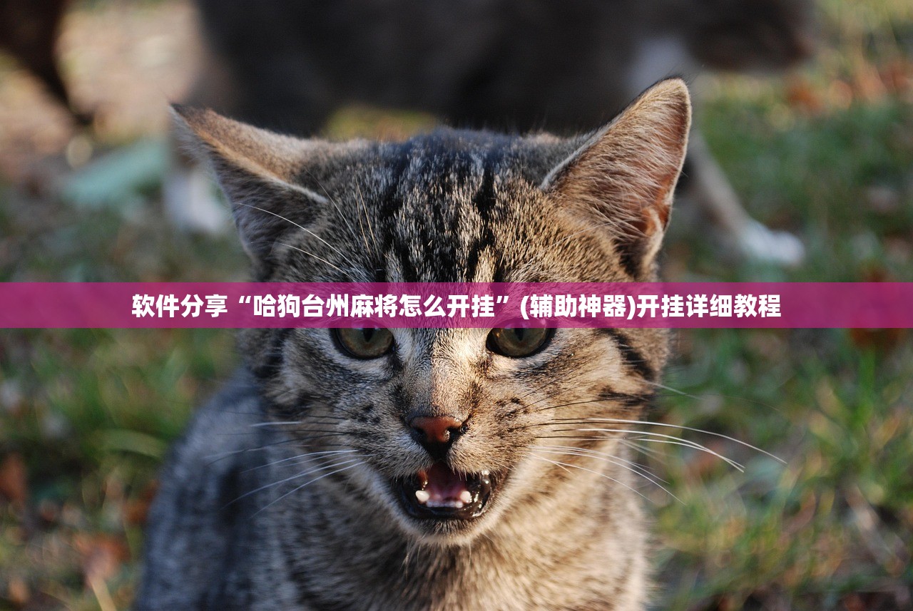 教程更新!：大唐山西麻将可以开挂吗”其实确实有挂