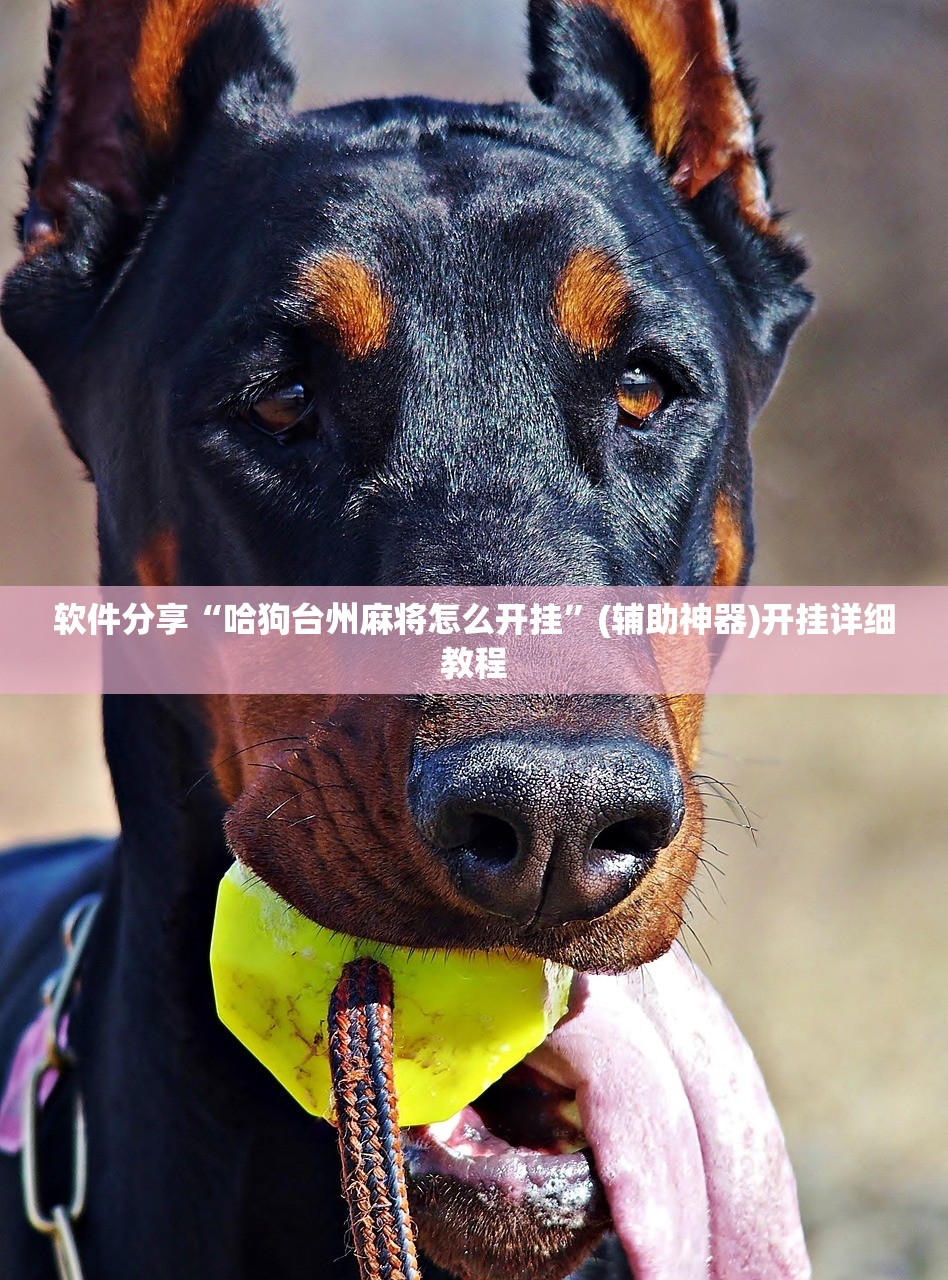 软件分享“哈狗台州麻将怎么开挂”(辅助神器)开挂详细教程