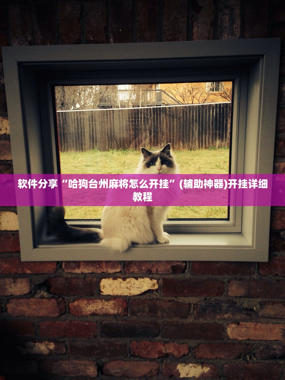 软件分享“哈狗台州麻将怎么开挂	”(辅助神器)开挂详细教程