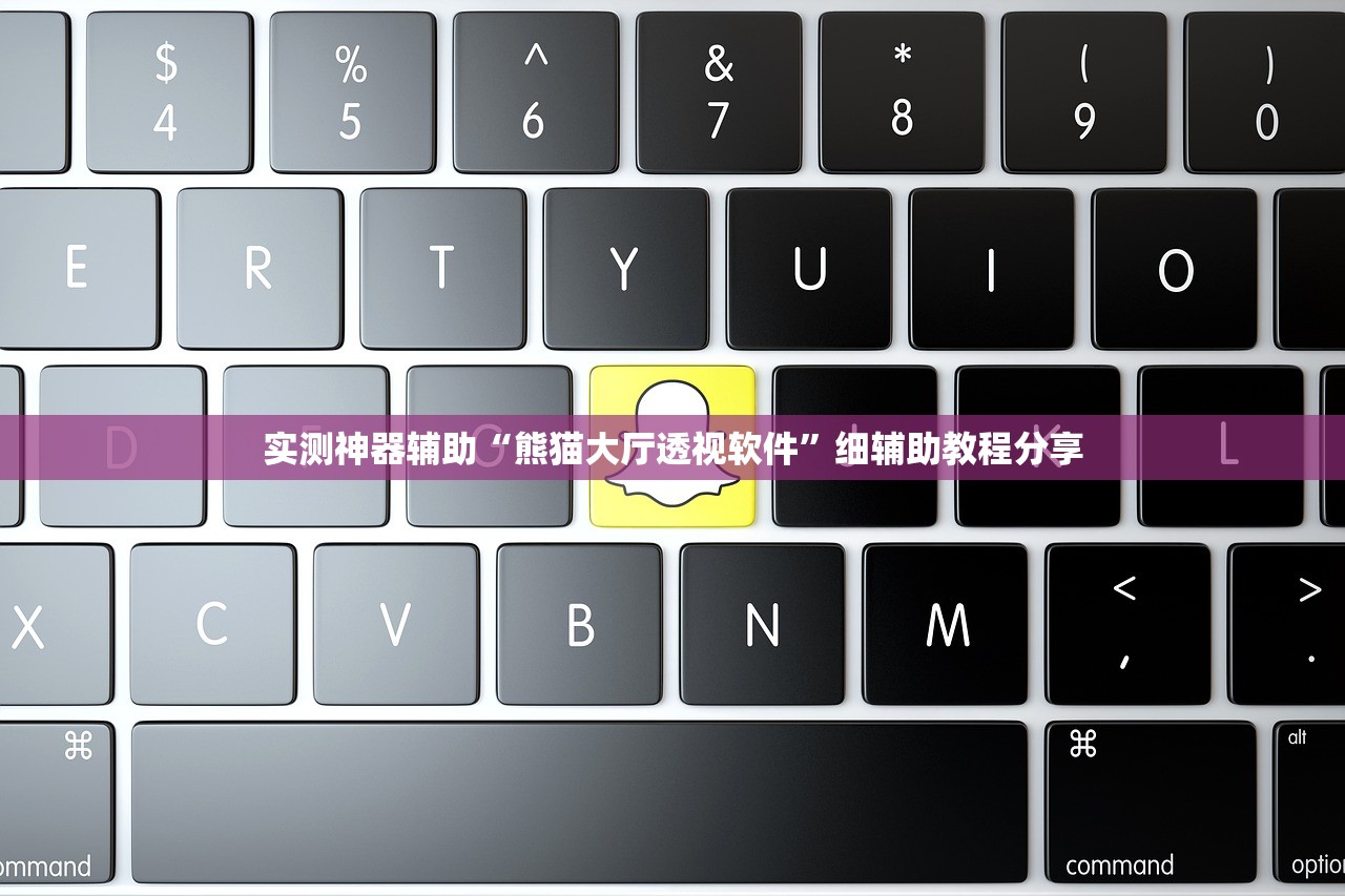 实测神器辅助“熊猫大厅透视软件	”细辅助教程分享