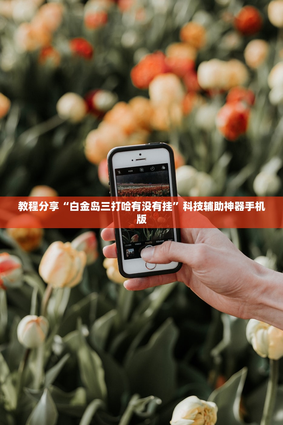 高速免费以上高速还是下高速为准/高速免费以上高速还是下高速为准呢