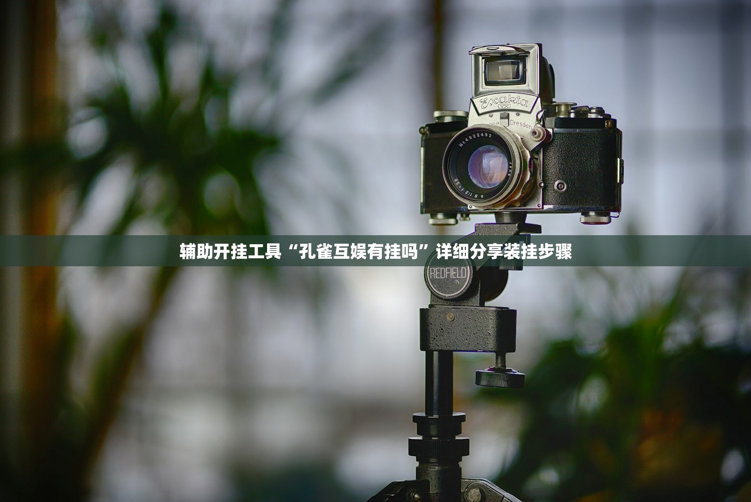 强力推荐“快乐牛万能开挂神器”开挂(透视)最新辅助详细