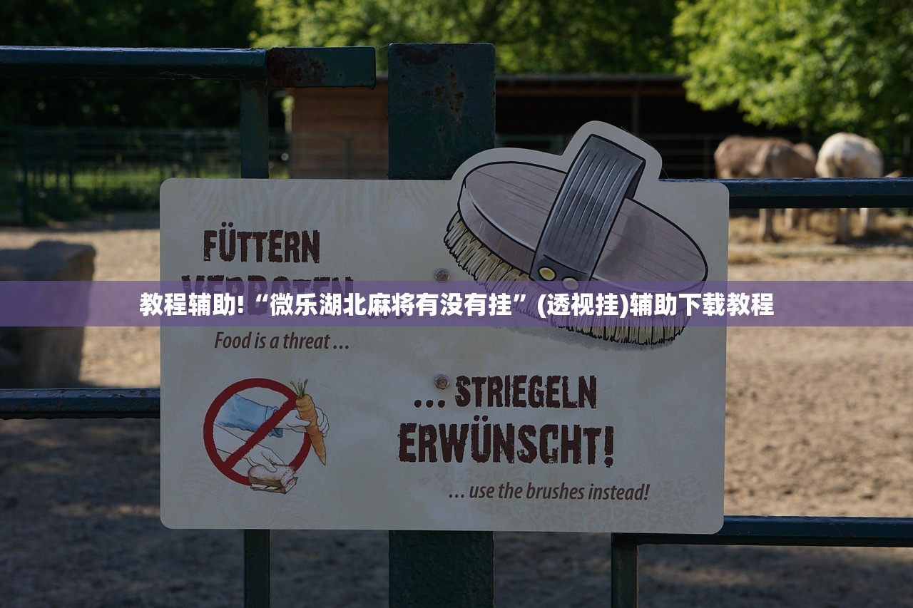 教程辅助!“微乐湖北麻将有没有挂”(透视挂)辅助下载教程