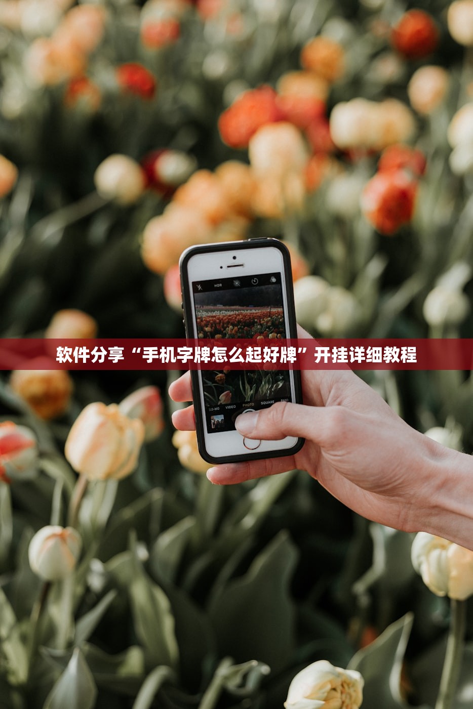 软件分享“手机字牌怎么起好牌”开挂详细教程