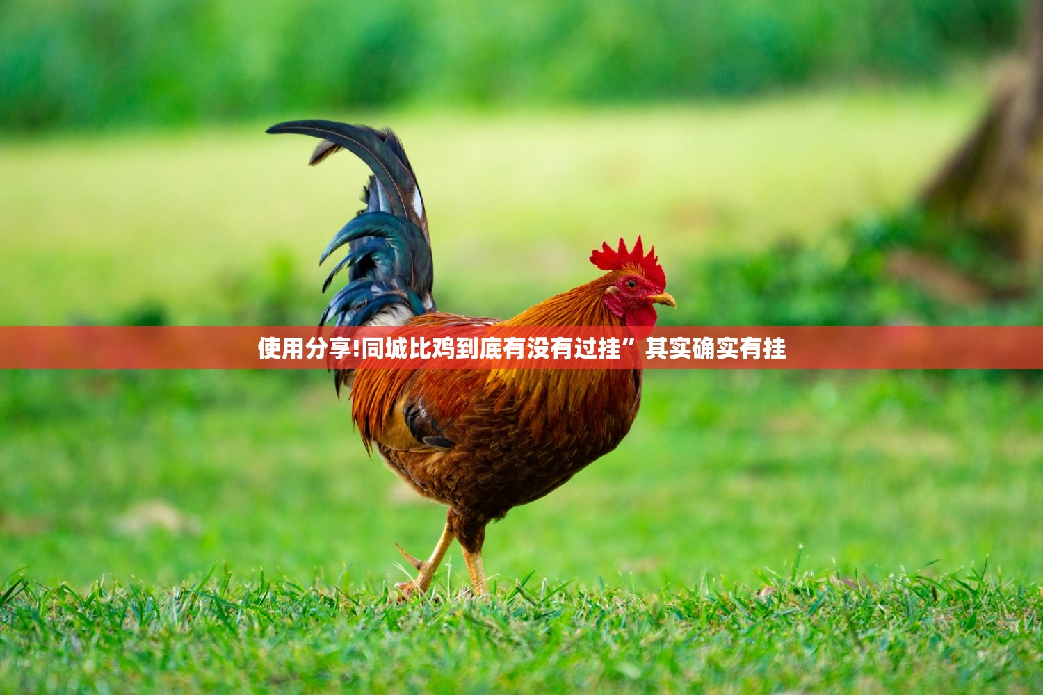 必备科技“胡乐麻将外卦神器下载”开挂详细教程