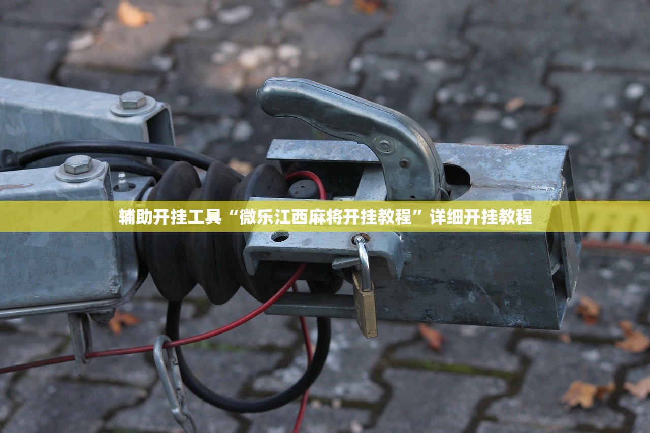 辅助开挂工具“微乐江西麻将开挂教程”详细开挂教程