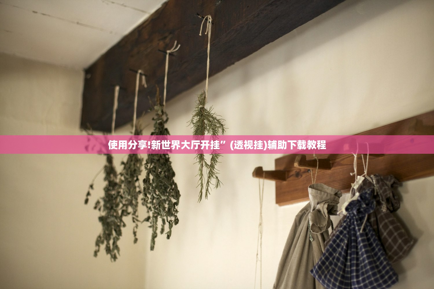 使用分享!新世界大厅开挂”(透视挂)辅助下载教程
