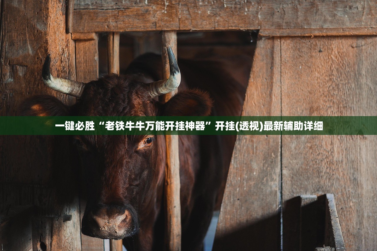 必备科技“八闽十三水辅助器下载”开挂(透视)辅助神器
