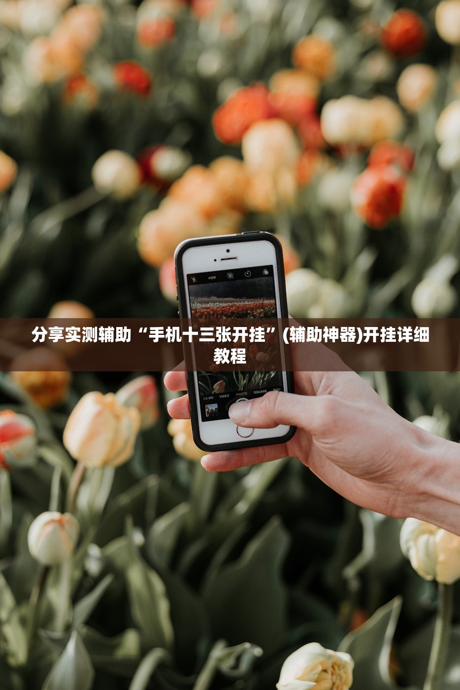 实测分享“家乡大二透视免费观看”其实确实有挂
