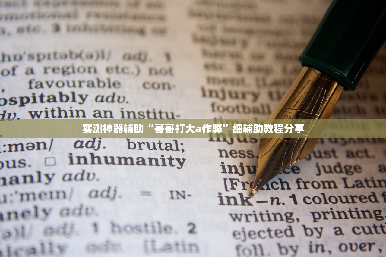 实测神器辅助“哥哥打大a作弊”细辅助教程分享
