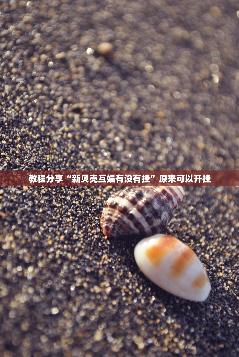 使用分享!闲逸斗地主外卦神器”开挂(透视)最新辅助详细